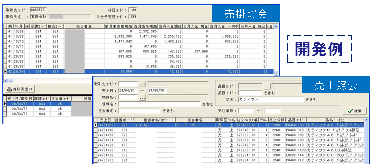 開発例